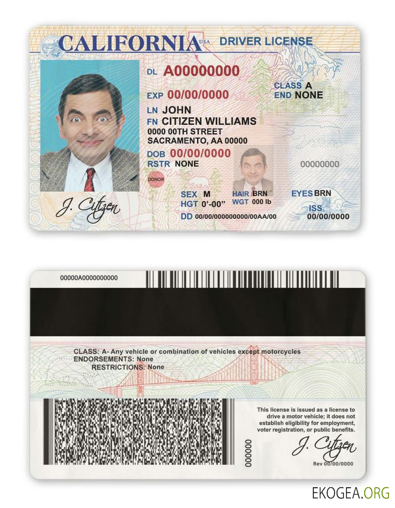 USA state California driver license